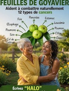 El Secreto Mejor Guardado de la Naturaleza: 5 Razones Impactantes para Beber Té de Hojas de Guayaba HOY Mismo (¡Beneficios que te Sorprenderán!)