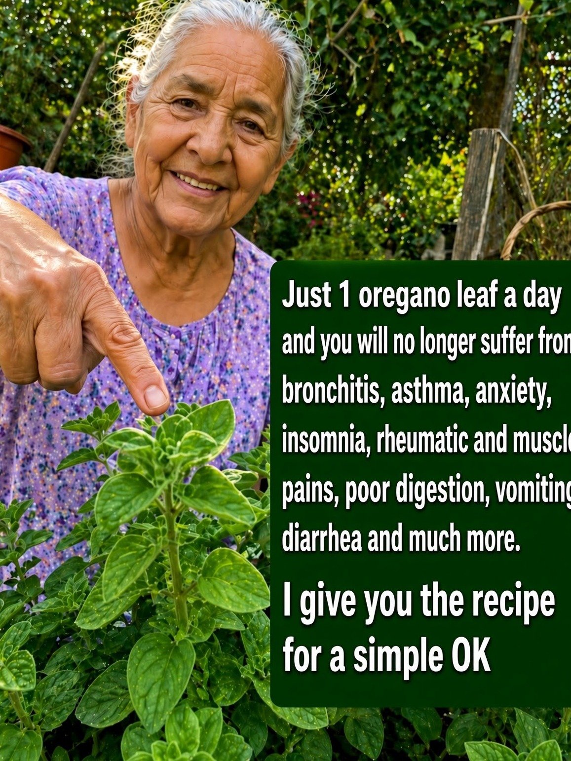Beyond the Hype: The Real Truth About Cuban Oregano's Benefits, Uses, & Must-Know Safety Tips (Viral Tea Recipe Included!)