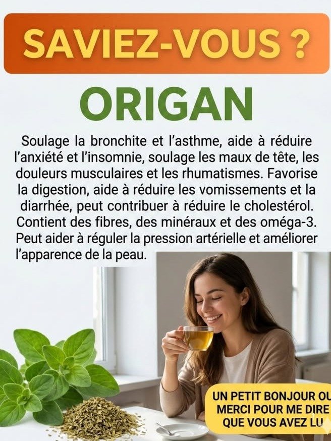 El secreto natural que todos ignoran: 6 razones por las que el orégano es el aliado definitivo para tu salud 🌿