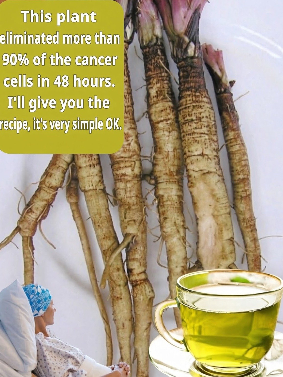 The Ancient Root You're Missing: 5 Science-Backed Ways Burdock Can Transform Your Health!