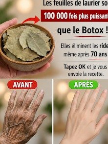 El Secreto Antiedad de Tu Cocina: ¿Puede el Laurel Realmente Borrar Tus Arrugas? ¡No Creerás lo Que Descubrirás!