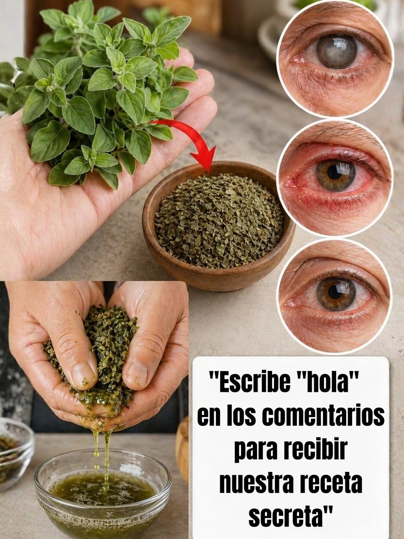 ¡El Secreto Mejor Guardado de la Naturaleza! Este Orégano Orejudo Puede Transformar Tu Salud y Nadie Te Lo Había Contado