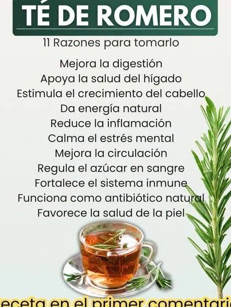 El Secreto de la Mañana: Por Qué Beber Té de Romero en Ayunas Cambiará tu Salud para Siempre