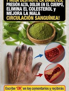¡No Creerás lo que Esta Hoja Ancestral Puede Hacer por Tu Salud! El Secreto Mejor Guardado del Bienestar.