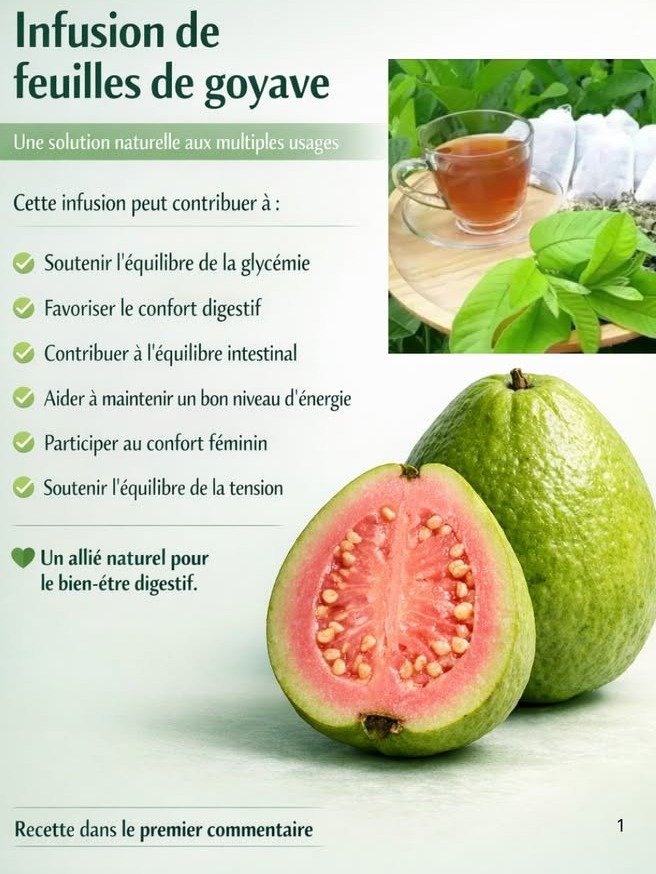 ¡No Te Lo Creerás! Descubre los 4 Efectos Asombrosos del Té de Hojas de Guayaba que Transformarán Tu Salud