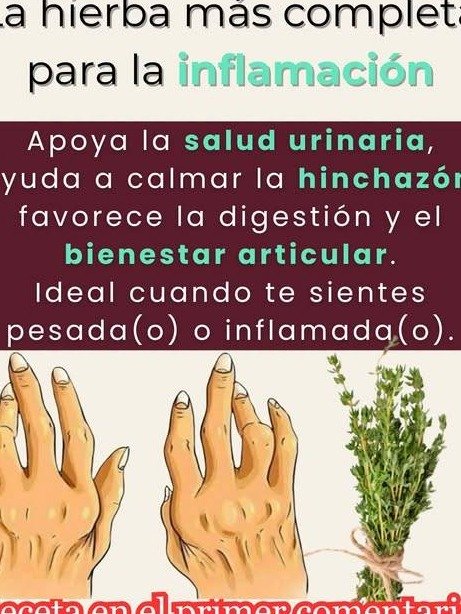 Adiós al dolor y los mareos: El poder oculto del tomillo para tratar la fibromialgia y el vértigo