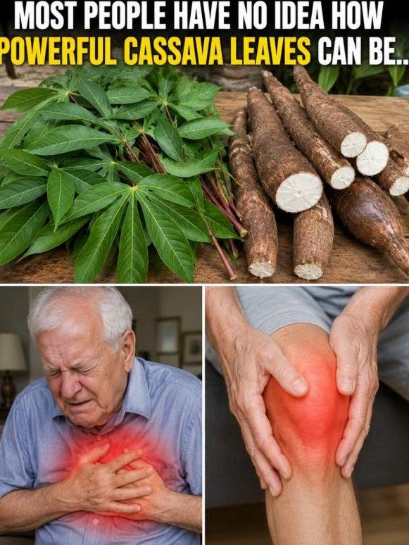 El Reinicio Corporal Total Que Nadie Te Cuenta: ¿Por Qué la Hoja de Yuca Es Tu Arma Secreta?