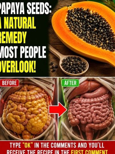 Stop Tossing Them! The 'Trash' Inside Your Papaya That Forces a Full-Body Gut Reset