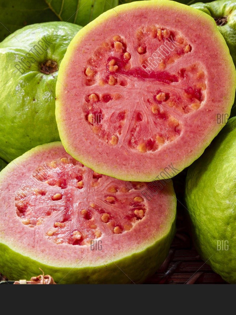 ¡El Secreto Ancestral Revelado! Guayaba, Limón y Flor de Jamaica: La Combinación Mágica que Estabiliza Tu Azúcar y Transforma Tu Salud