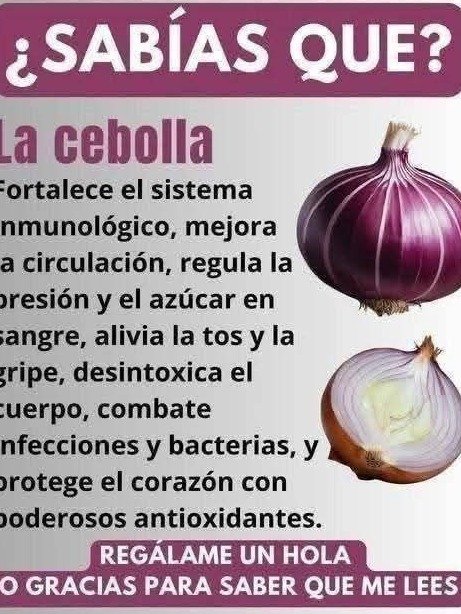 🧅✨ ¡Este Jarabe de Cebolla Morada Borró Mi Tos en Una Noche! La Receta que el 95% de la Gente Ignora