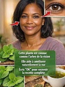 ¿Visión borrosa y ojos cansados? ¡El SECRETO de tu cocina que DETIENE el envejecimiento ocular y te da una vista de águila!