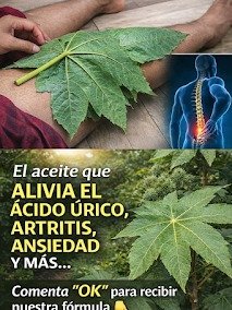 ¡No Vas a Creerlo! Descubre los 25 Secretos del Aceite de Ricino que Transformarán Tu Piel, Cabello y Salud (¡El #1 Te Dejará Sin Palabras!)