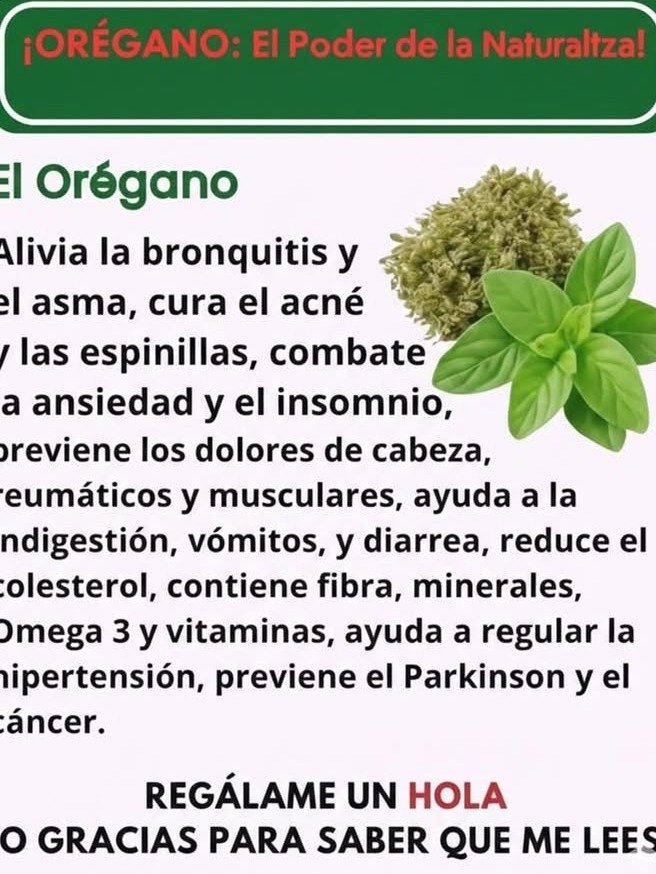 ¡Alerta! Tu Vista Podría Estar EN PELIGRO: 4 Remedios Caseros con Orégano Orejón Para Recuperarla HOY Mismo