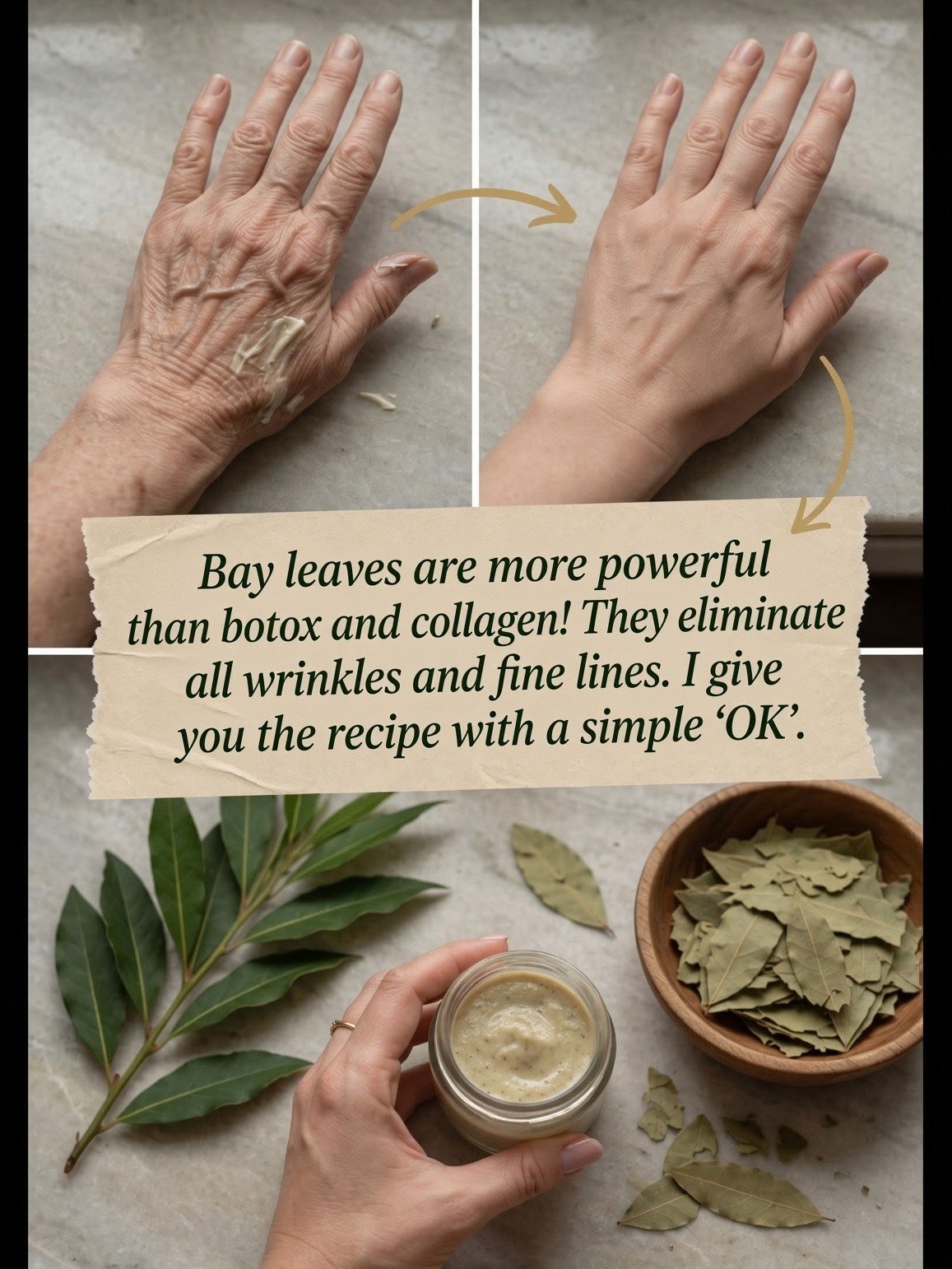 Beyond the Soup Pot: The Surprising Health Potential of Bay Leaves Revealed