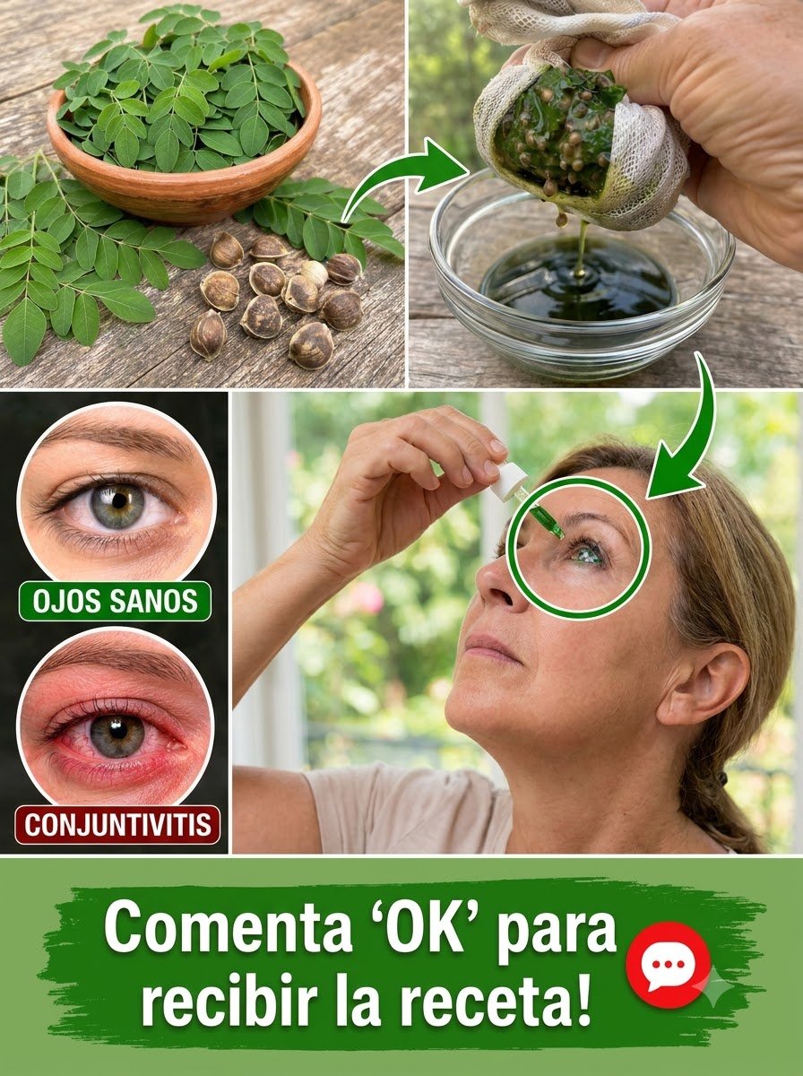 ¡El Secreto Ancestral Revelado! Esta Planta 'Milagrosa' Transformará Tu Salud y Energía Desde Hoy