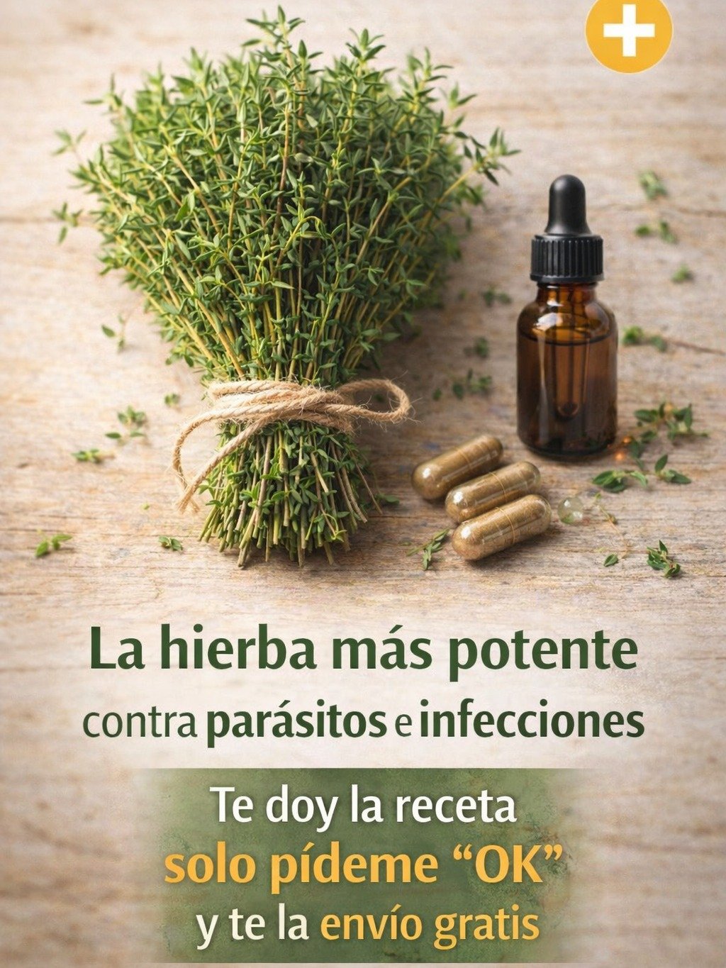 🌿 El Tomillo: La Hierba Silenciosa que los Doctores No Quieren que Sepas Puedes Usar en Casa