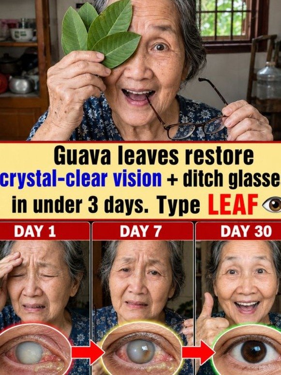 The $100 Billion Secret: Why Big Pharma Doesn't Want You to Know About This Simple Guava Leaf Trick