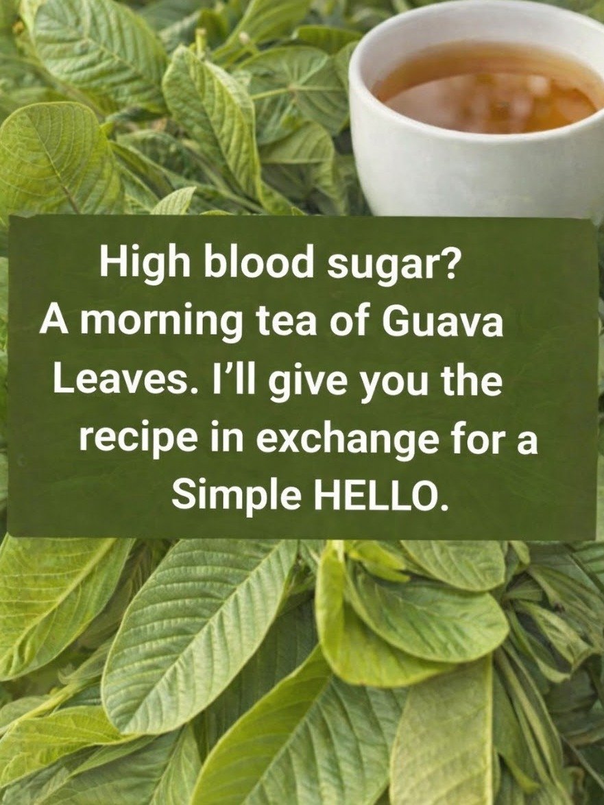 STOP Everything! This Ancient Leaf Tea Holds 25+ Hidden Health Secrets You NEED to Know Now!