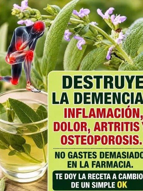 ¡No Te Imaginas Lo Que Esta Planta Milenaria Puede Hacer Por Ti! Descubre los 6 Secretos de la Salvia para un Bienestar Increíble