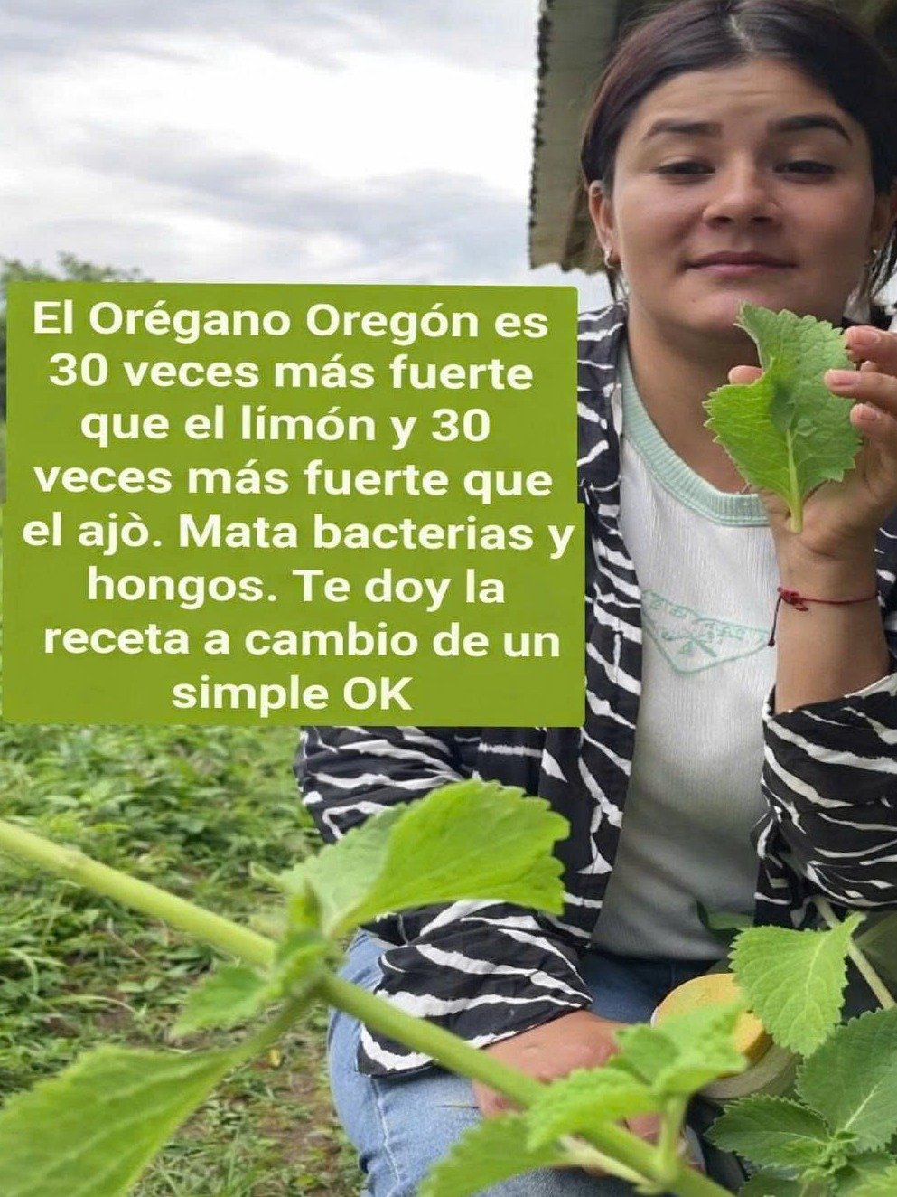 El Remedio Ancestral de Ajo y Orégano que TODO el mundo DESEARÁ conocer: ¡Fortalece tu salud y dile adiós a las enfermedades YA!