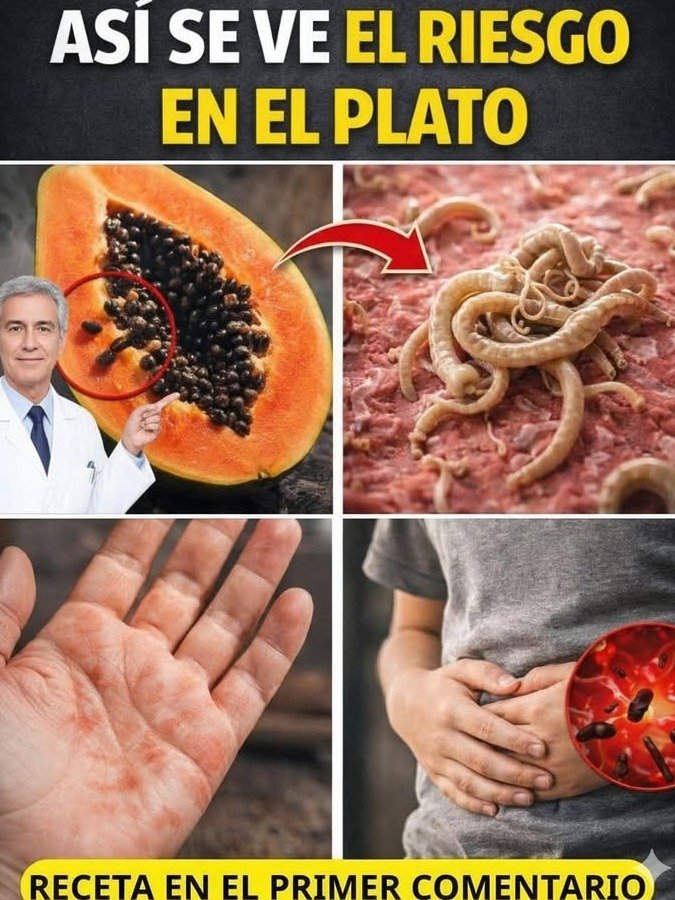 ¡No Tires Más Oro! Los 30 Secretos Ocultos de las Semillas de Papaya que NADIE Te Ha Contado (y Cómo Usarlas Hoy Mismo)
