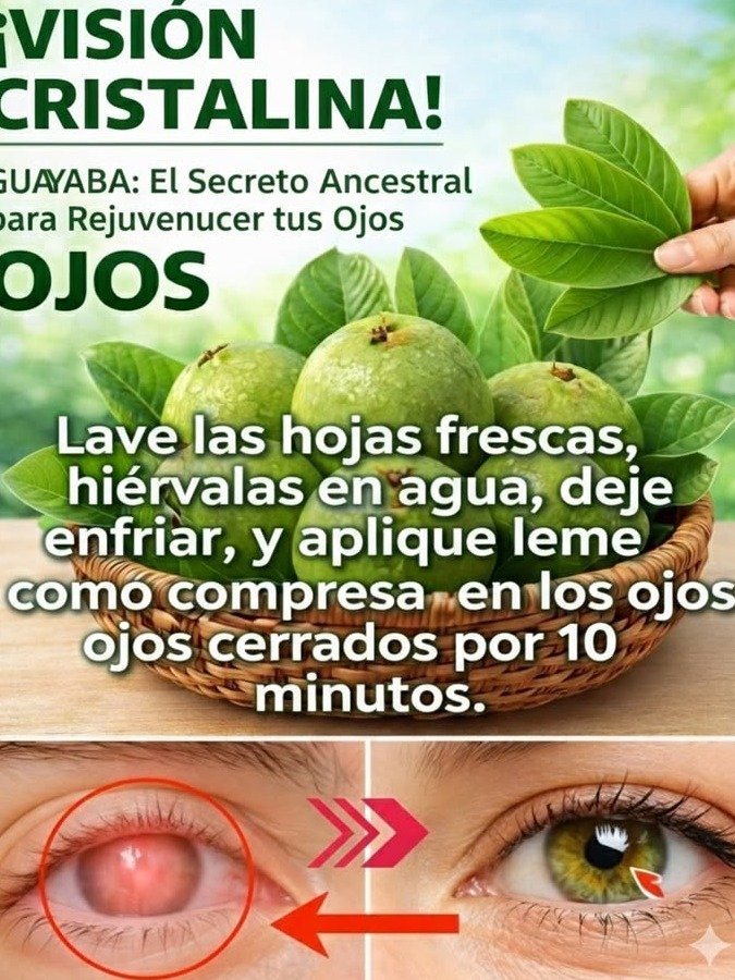 El Secreto Oculto de la Guayaba: 9 Formas en que Esta Fruta Puede SALVAR tus Ojos (¡Nadie te lo había contado!)