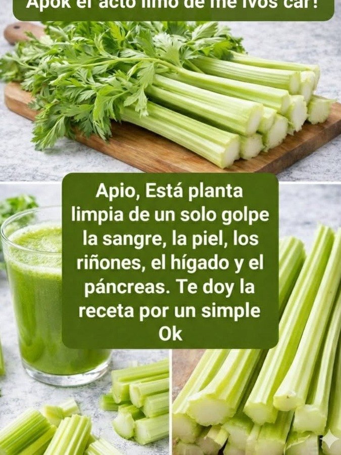El Secreto Olvidado de la Naturaleza: Esta Planta lo Purifica TODO en tu Cuerpo (¡Pero SOLO si la Usas de esta ÚNICA Manera!)
