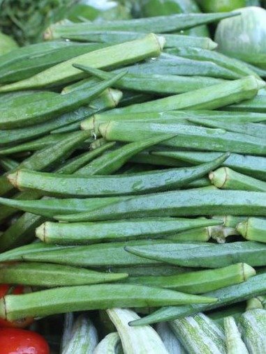 The Secret 'Plumbing' Hack: How 1 Simple Vegetable Resets Aging Kidneys and Blood