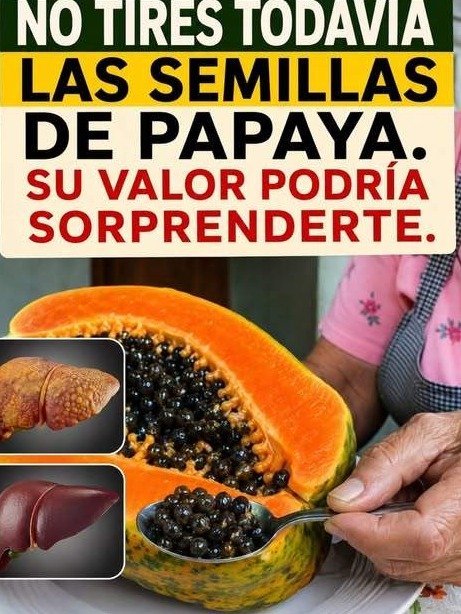 ¡ALERTA! Estás TIRANDO a la basura el SECRETO MILENARIO que tu HÍGADO y DIGESTIÓN te ruegan que uses (las semillas de papaya)