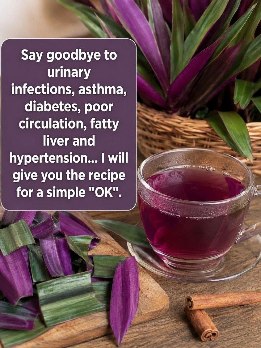 Unlock Ancient Wellness: The Surprising Health Secrets of Maguey Morado (Moses-in-the-Cradle) You Need to Know!