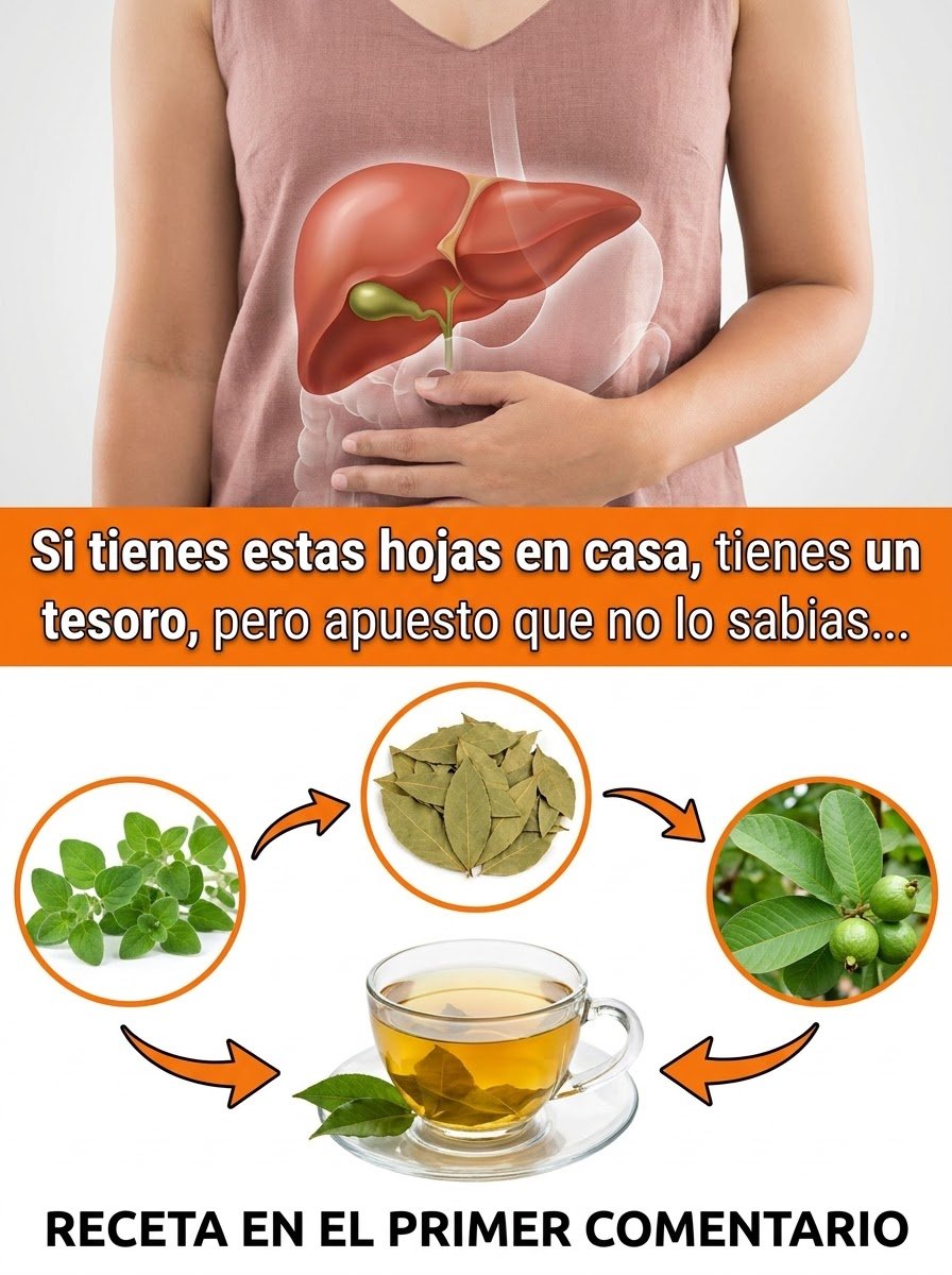 El SECRETO Ancestral para un Hígado Sano y Presión Arterial Perfecta: ¡La Infusión Natural que DEBES Conocer AHORA!