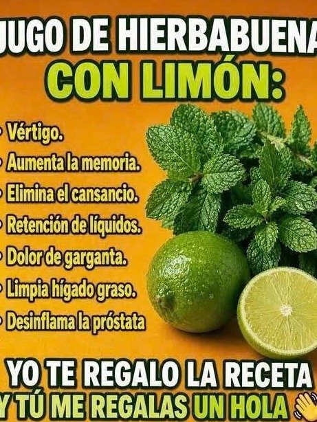 El elixir secreto que transforma tu digestión y energía: Hierbabuena con Limón