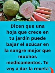 ¡ATENCIÓN! La Fruta TROPICAL Secreta que Estabiliza tu Azúcar y te Hará Olvidar los Picos de Glucosa