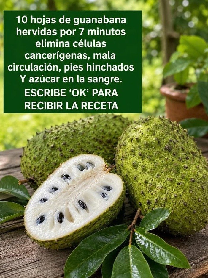 El poder oculto de la guanábana: Lo que la ciencia calla sobre esta joya tropical que debes conocer