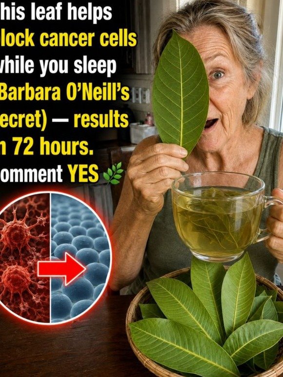 The 'Hidden' Nighttime Reset: Is This Simple Leaf Actually Blocking Abnormal Cell Growth?