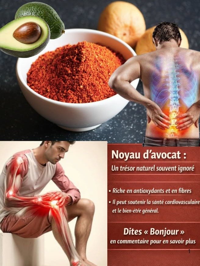 ¿Estás Desperdiciando el Secreto de tu Salud? El Té de Hueso de Aguacate Revela Beneficios INCREÍBLES que NADIE te Contó