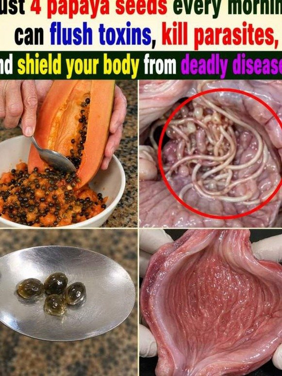 Stop Throwing Them Away: Chewing 4 Papaya Seeds Triggers a Powerful 'Gut Flush'