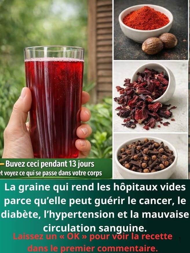 ¡No la tires! La increíble semilla de aguacate que transforma tu salud y pocos conocen