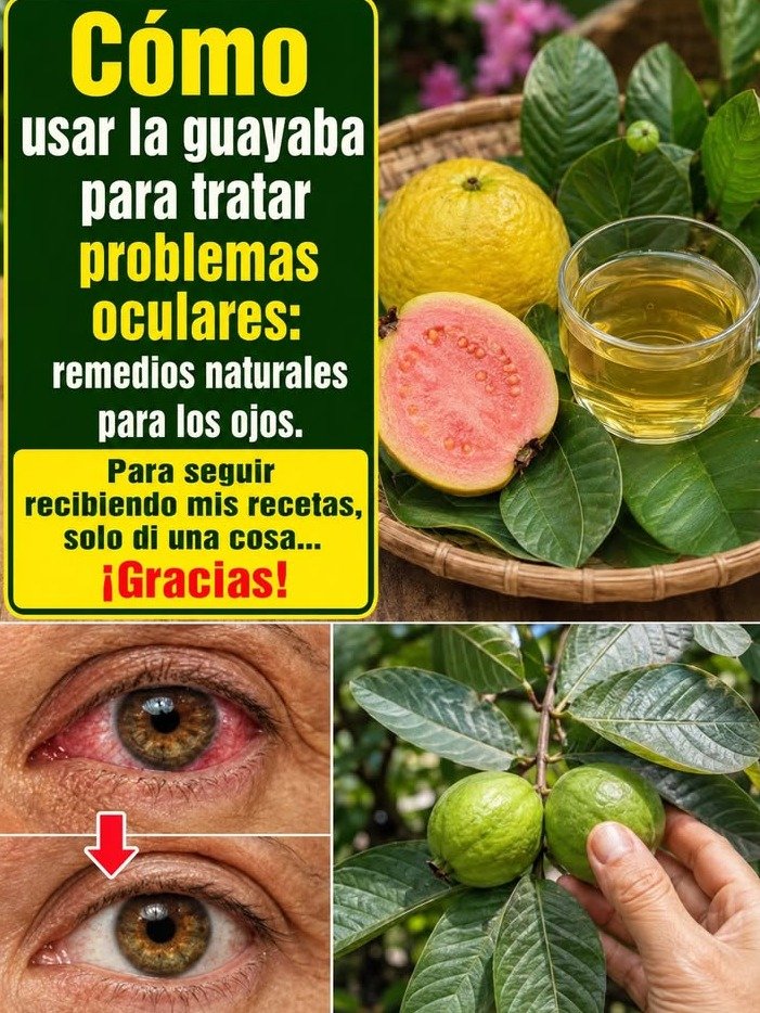¡Impactante! ¿Podría la GUAYABA ser el SEGUNDO CEREBRO de tus OJOS? El Secreto Natural que NADIE te ha Contado para una Visión Clara
