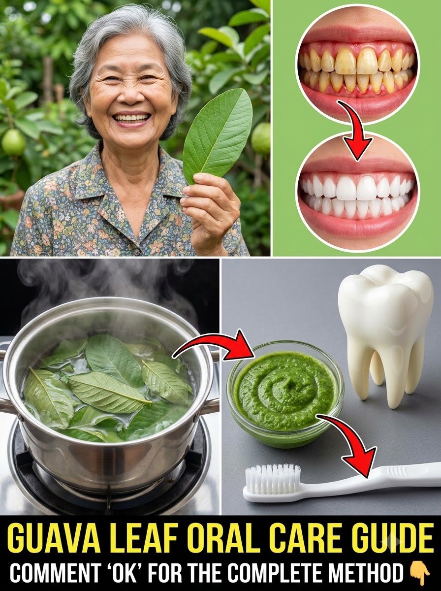 ¡Alerta! Si Sufres de Mal Aliento o Encías Inflamadas, ESTA Hoja Común de Tu Jardín Esconde el Secreto que Nadie Te Ha Contado