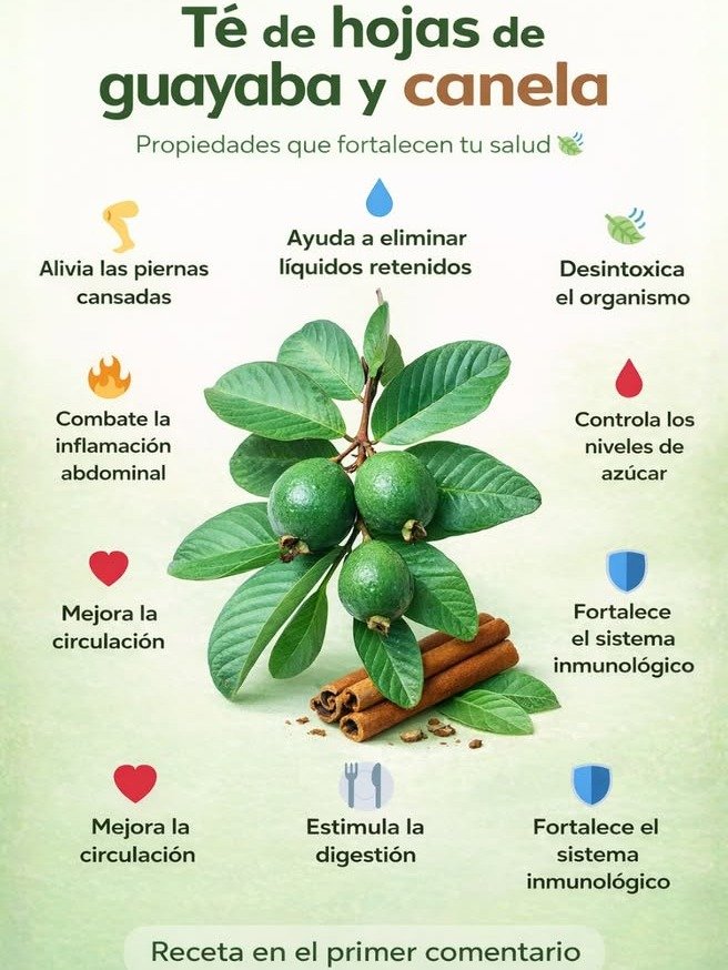 ¡El Elixir Olvidado! Descubre CÓMO este Té de Guayaba, Canela y Limón TRANSFORMARÁ tu Salud en Días (y por qué TODO el Mundo lo está Tomando)