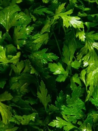 Stop Throwing Away This $1 Kitchen Staple: The Natural 'Face-Lift' Secret Hiding in Your Fridge