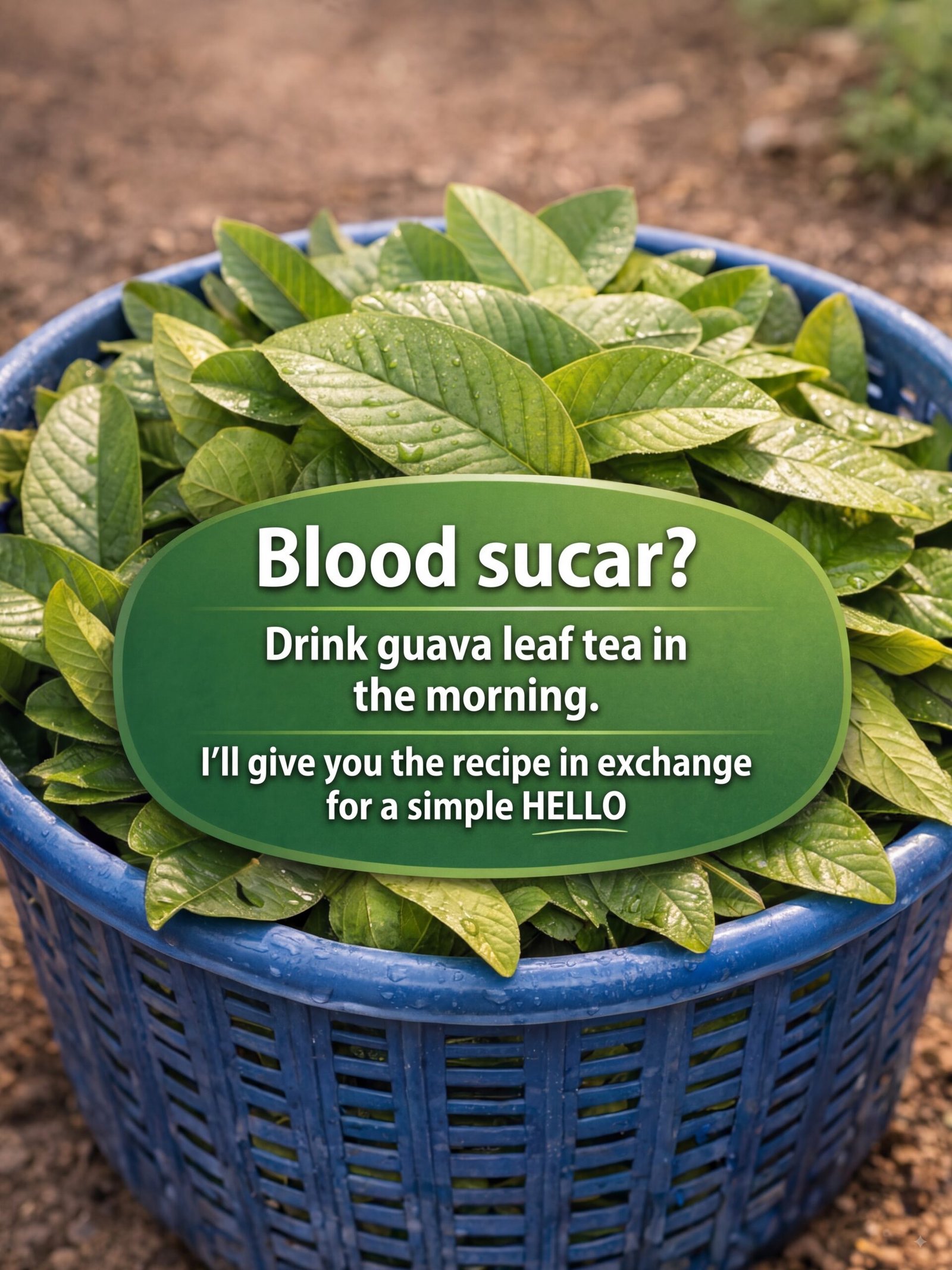The Secret Power of Guava Leaf Tea: Why You Should Start Brewing This Today