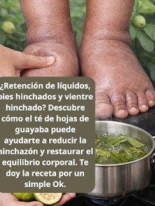 ¡Alerta! Si Sufres de Hinchazón, ESTE Secreto Natural con Hojas de Guayaba Podría Cambiar Tu Vida Hoy Mismo
