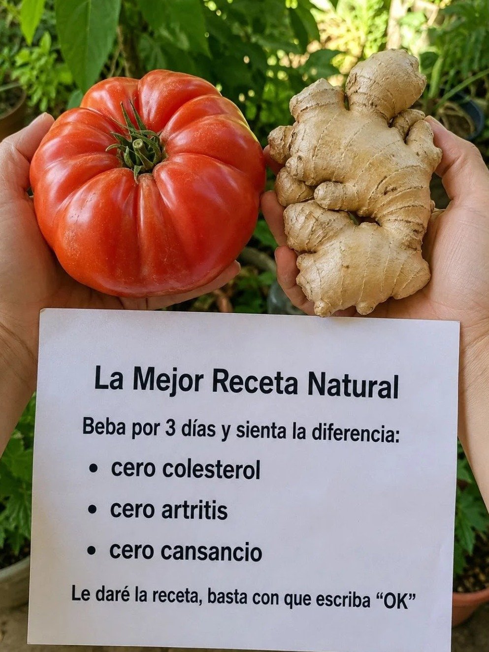 ¿Cansado de la Fatiga y el Colesterol Alto? El Jugo Secreto que TRANSFORMA Tu Salud en Solo 3 Días (¡No te lo Pierdas!)