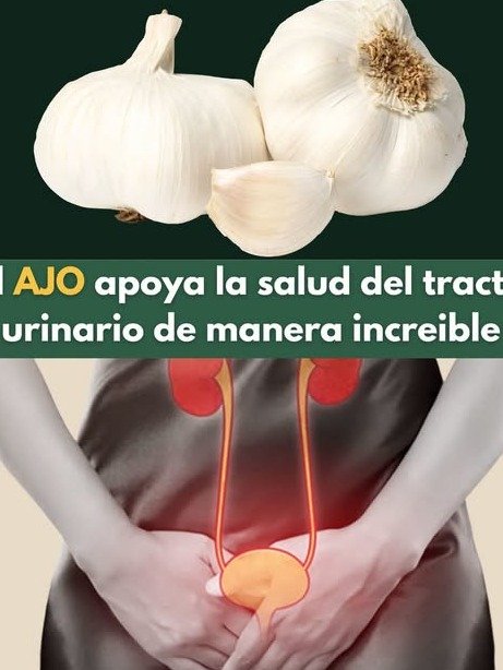¡Adiós Infecciones Urinarias! Descubre el Poder Oculto del Ajo que NADIE Te Ha Contado para una Salud Blindada