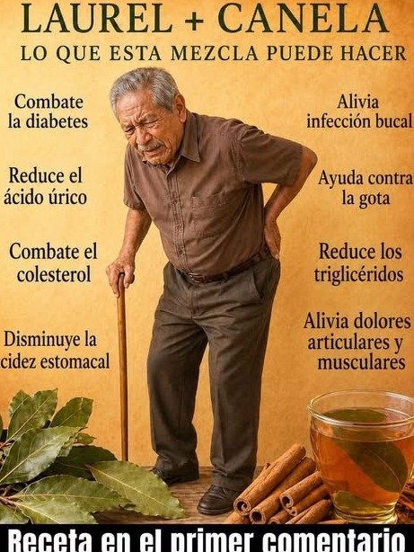 ¡El Secreto Olvidado de tu Cocina! Cómo 1 Hoja de Laurel Puede Transformar tus Articulaciones y Circulación para Siempre