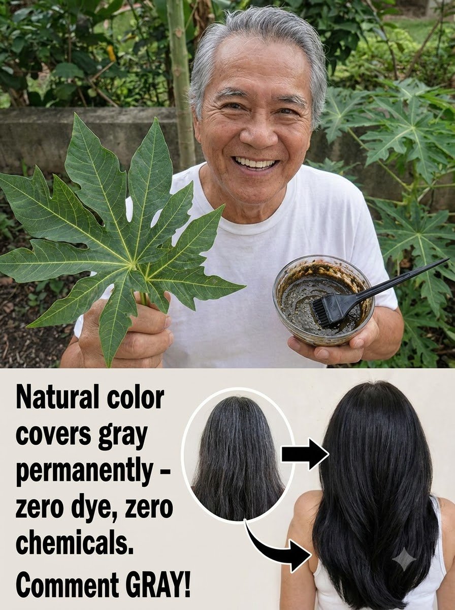 ¡El Secreto Que Tu Peluquero NO Quiere Que Sepas! Cómo la Hoja de Papaya y el Sésamo Negro Transforman Tu Cabello