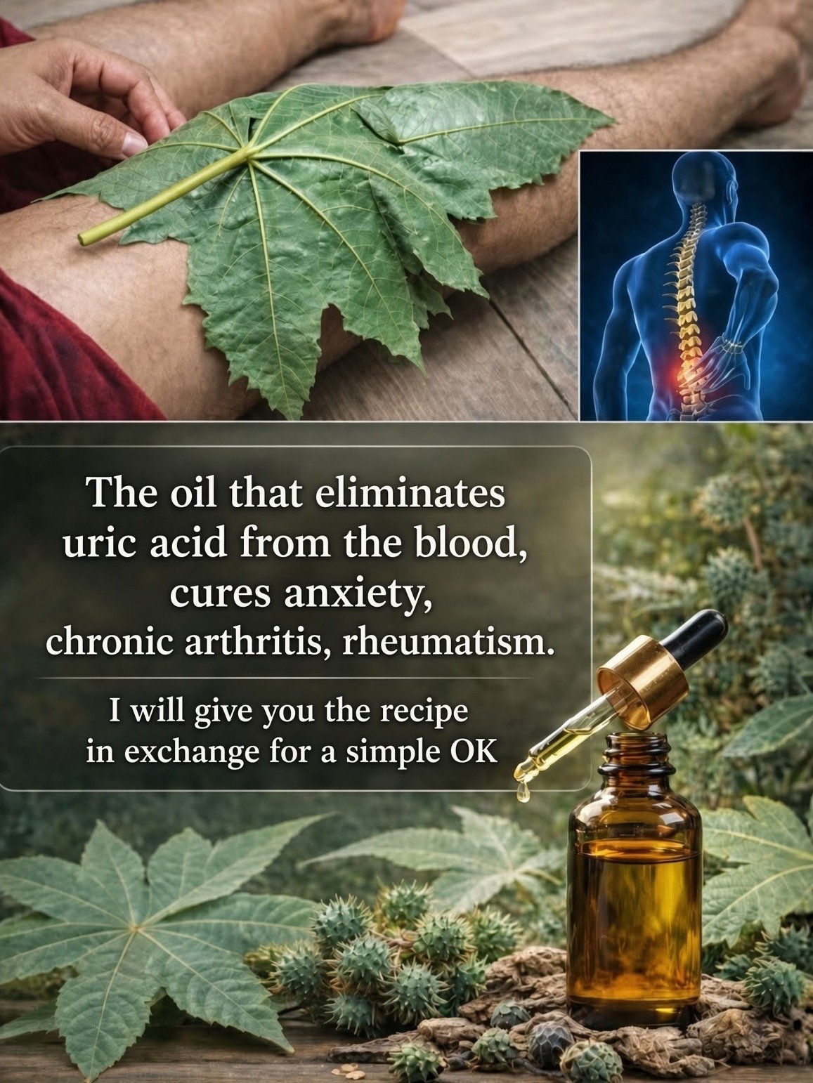 The Hidden Truth About Castor Bean Plants: Miracle Cure or Dangerous Garden Trap?