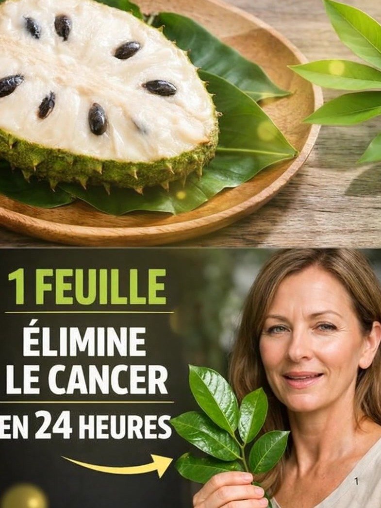 El SECRETO PROHIBIDO que Big Pharma NO quiere que Sepas: ¿Esta Hoja Tropical ELIMINA el Cáncer NATURALMENTE?